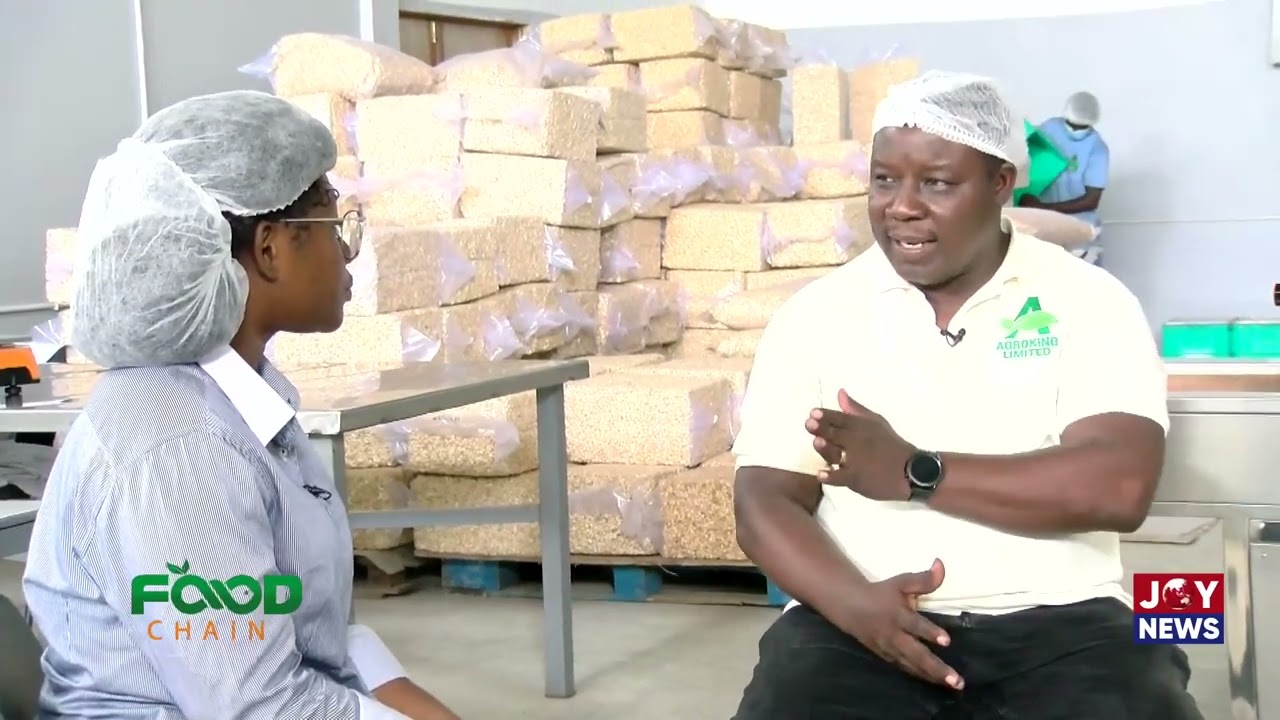 Food Chain || Cashew Processing in Ghana  Pt.2