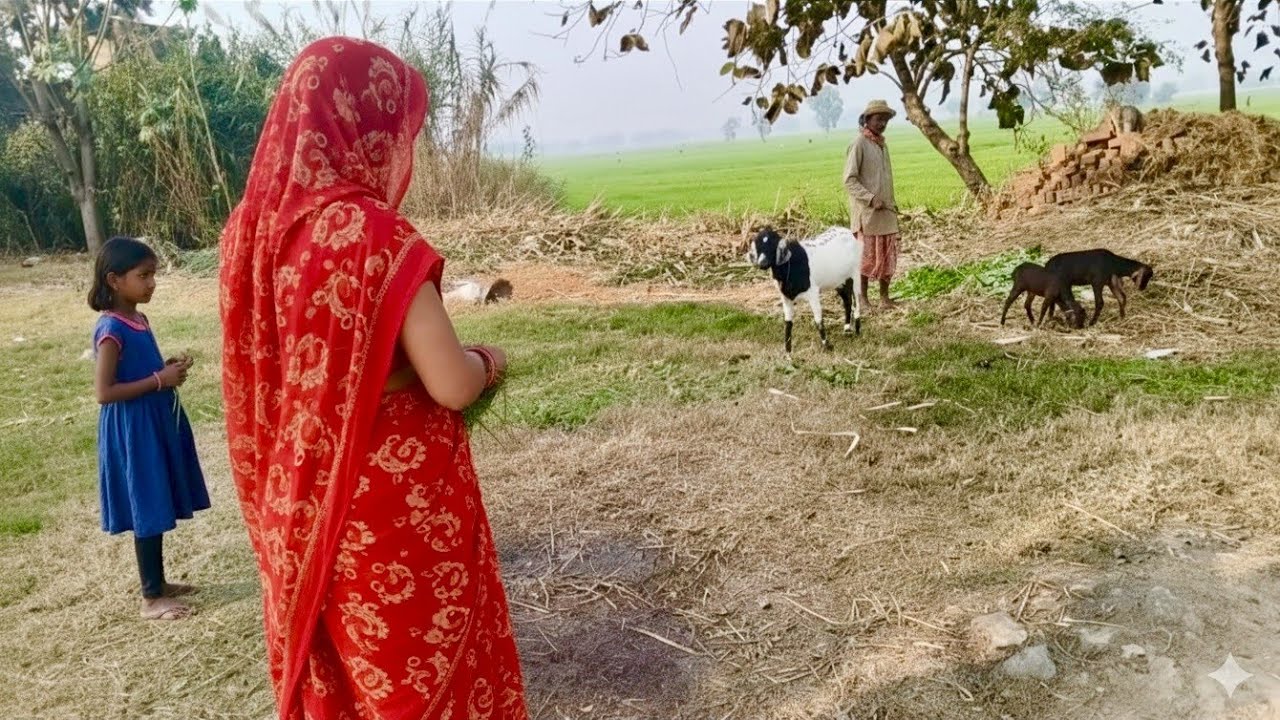 24 Hours of Pure Peace: My Indian Village Daily Routine | Indian Real Village