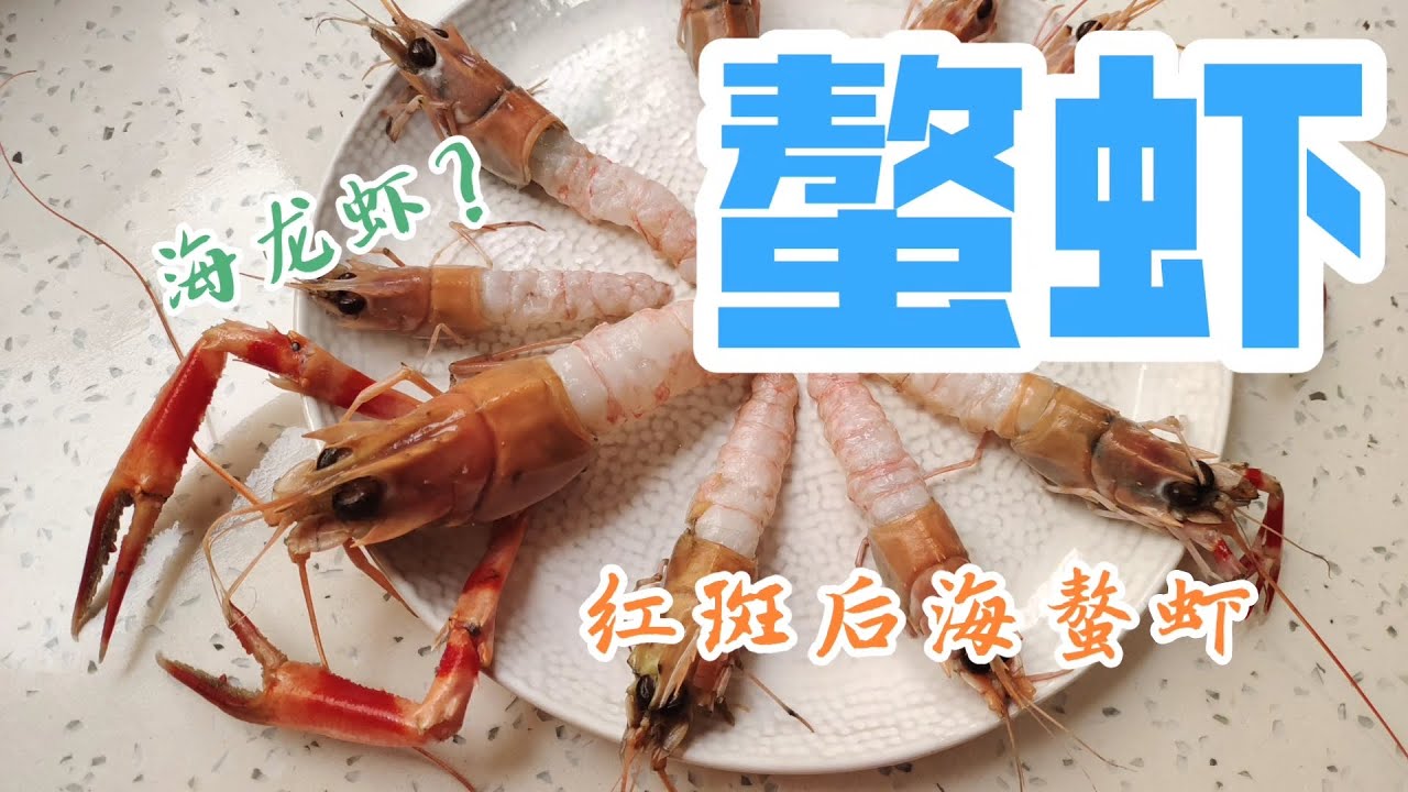 如何快速剥掉螯虾虾壳且不伤手？黄海红斑后海螯虾（Metalephrops thomsonl) 的刺身制作