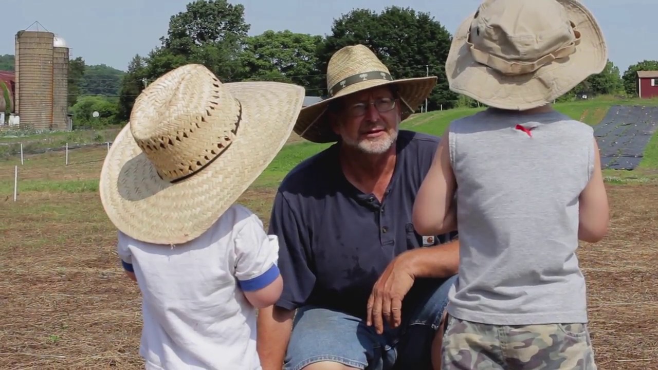 No-Till Vegetable Experiments at Fauquier Education Farm