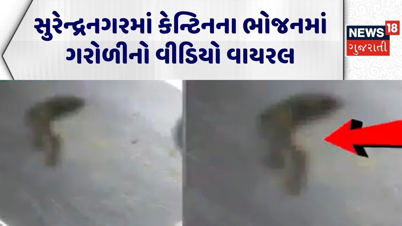 Surendranagar Lizard in Food | સુરેન્દ્રનગરમાં કેન્ટિનના ભોજનમાં ગરોળીનો વીડિયો વાયરલ | Viral Video