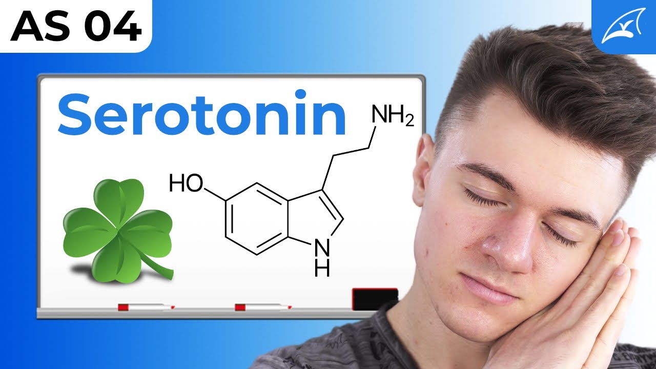 Serotoninsynthese & Melatonin - einfach erklärt! // Warum pflanzliche Nahrung glücklich macht ...
