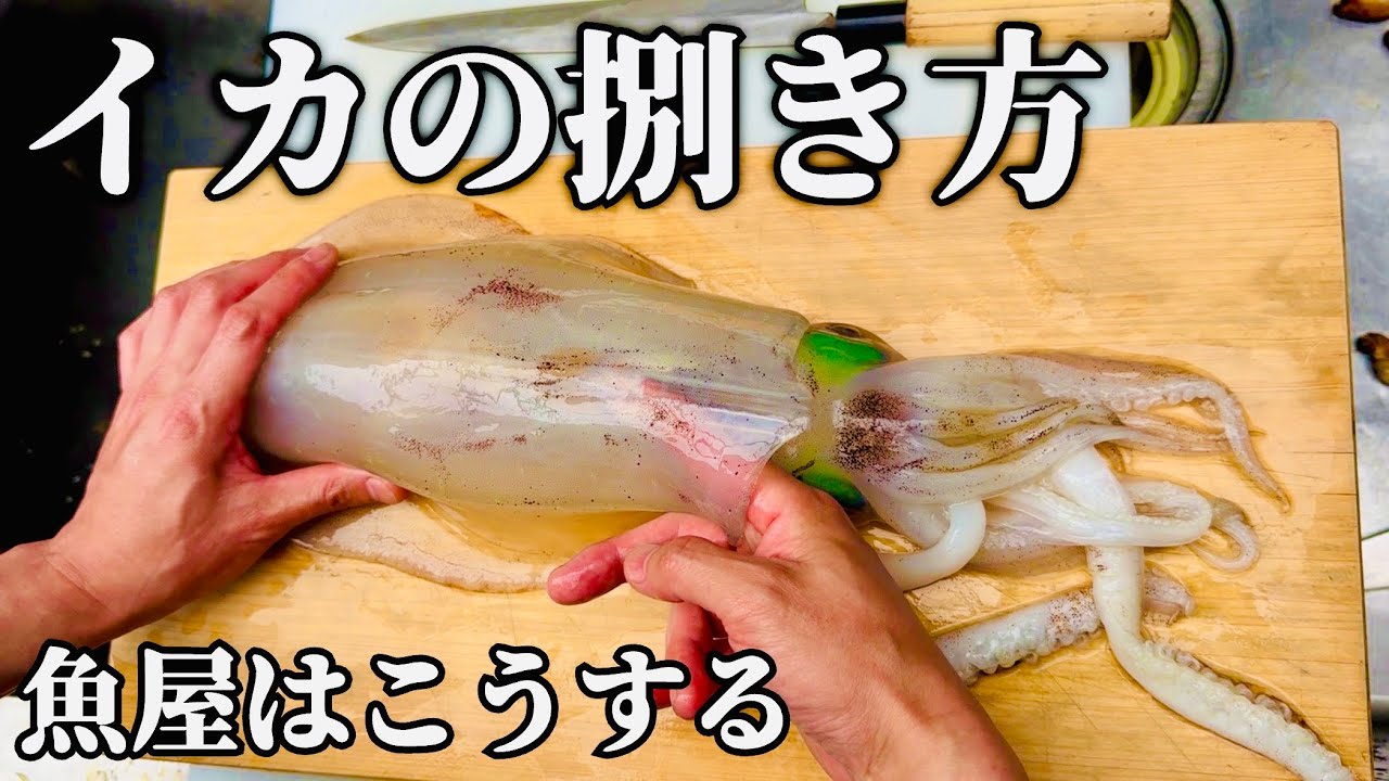 【魚屋の捌き方】春のアオリイカを釣って作る絶品の2品。