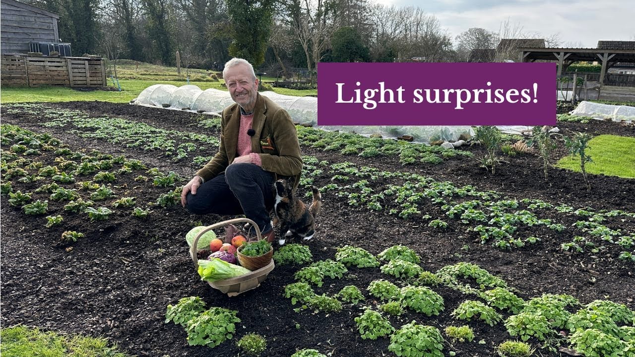 January sunshine for your tour of Homeacres