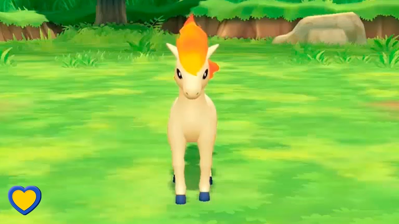HOW TO GET Ponyta in Pok&eacute;mon Let's Go Pikachu & Eevee