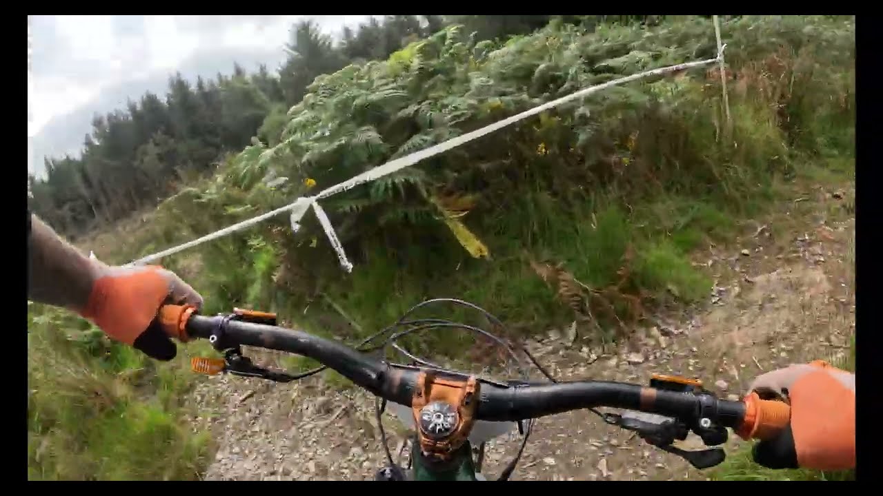 Welsh enduro RD 4 Dyfi forest - Practice runs