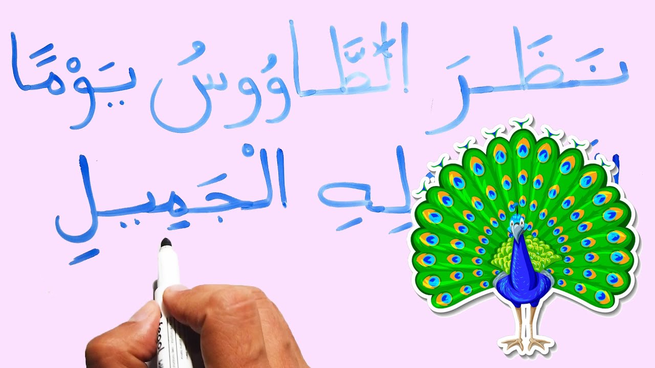 اقرأ واكتب عن الطاووس دروس محو الامية تعليم القراءة و الكتابة Reading & writing Arabic paragraph
