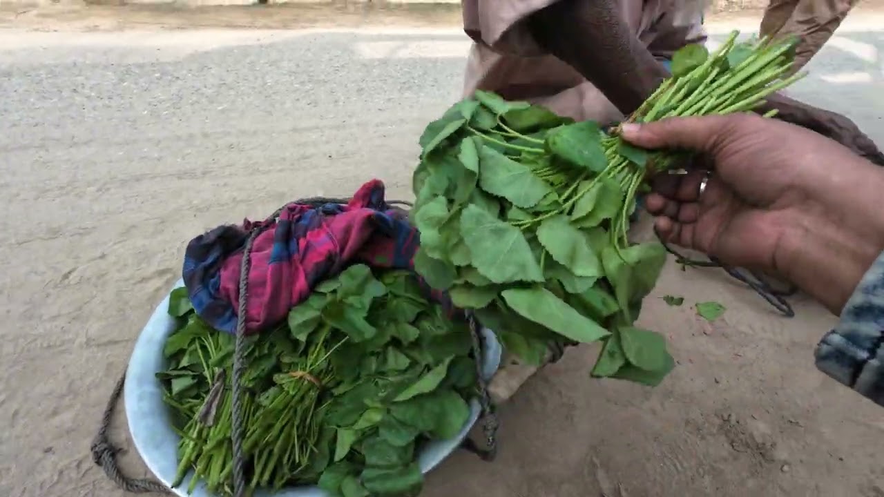গ্রামের সহজ সরল কাকার কাছে লাফ শাক কিনলাম