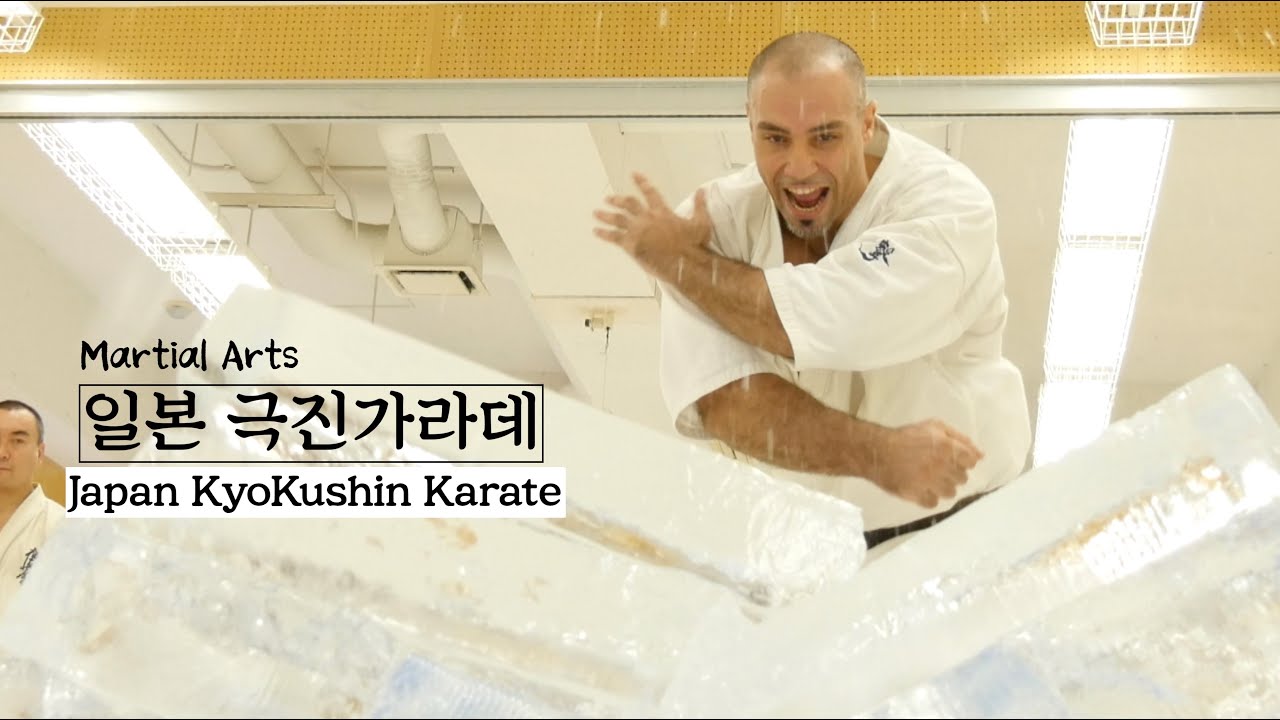 세계 무술[Martial Arts]-일본 극진가라데(Japan Kyokushin Karate, 極真空手)