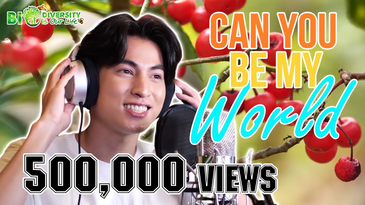 Can you be my world  (official MV)