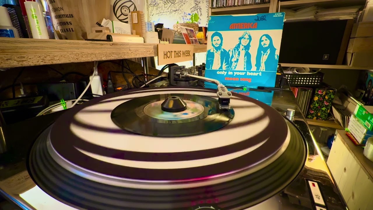 America - Moon Song · RECORDS FROM THE SHOP · BACKFLIP