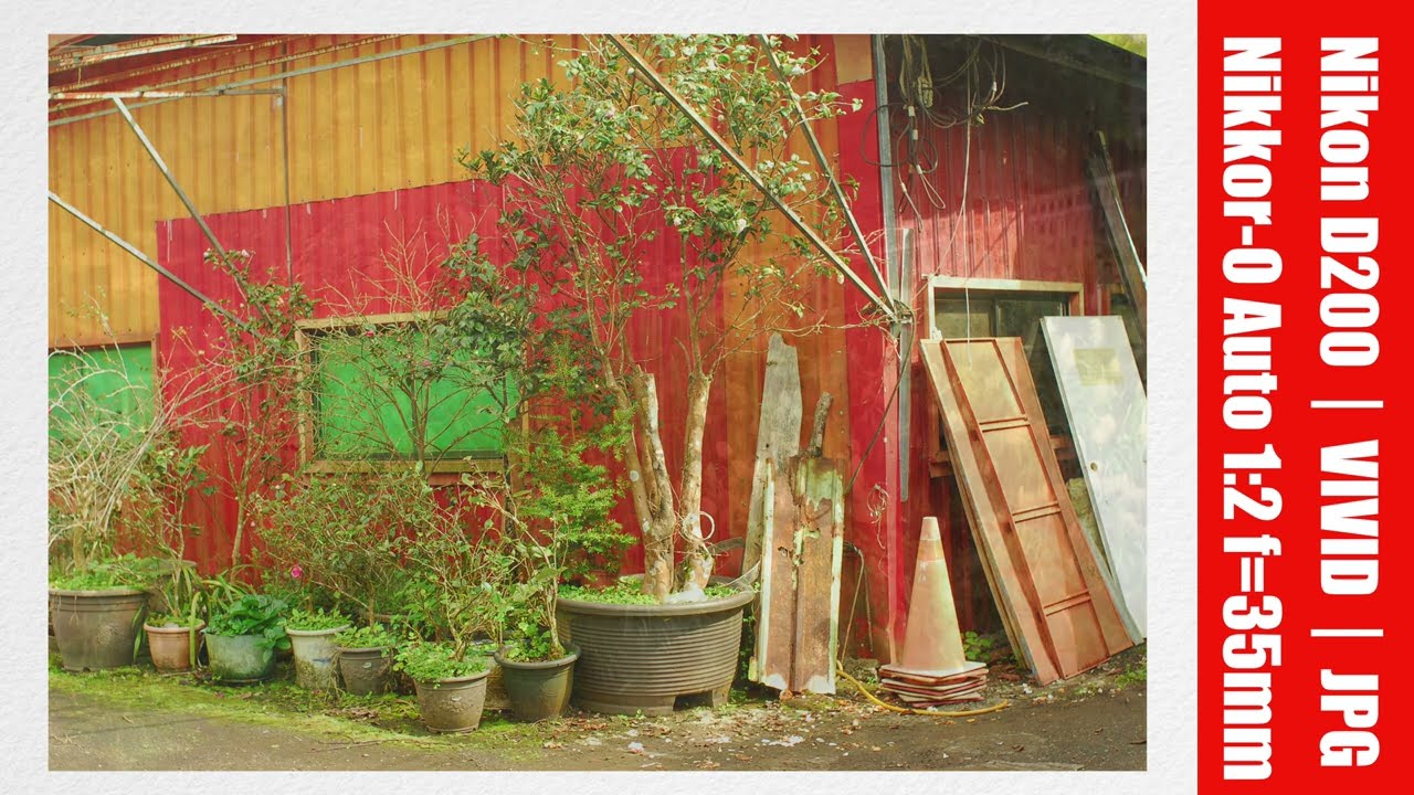 Nikon D200 ＋Nikon Nikkor-O 35mm F2 Pre-Ai｜WB：5500K｜VIVID｜JPG without editing
