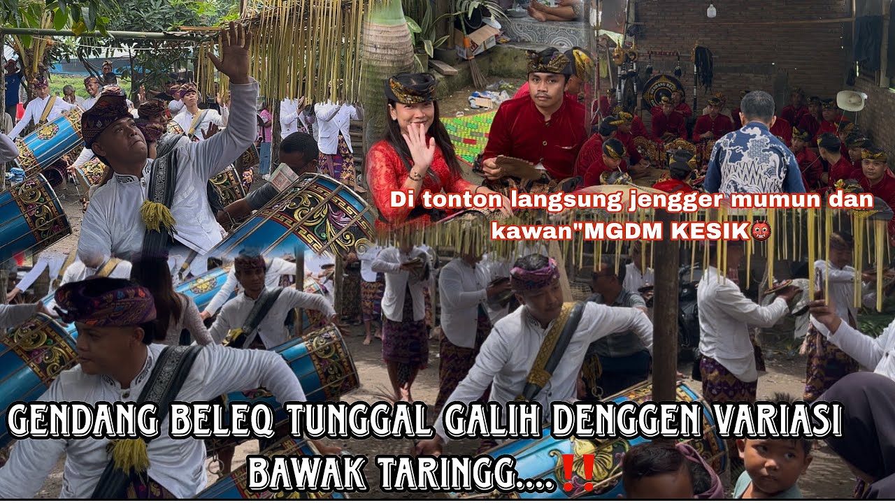 Variasi bawak taring.....❗️GENDANG BELEQ TUNGGAL GALIH DENGGEN....‼️