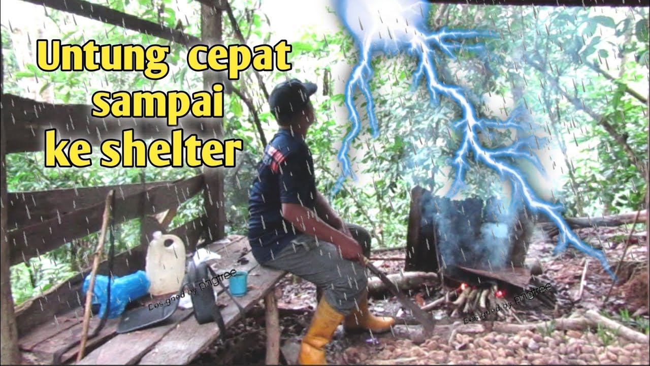 camping Hujan deras,, berteduh di shelter tua di hutan belantara/ASMR