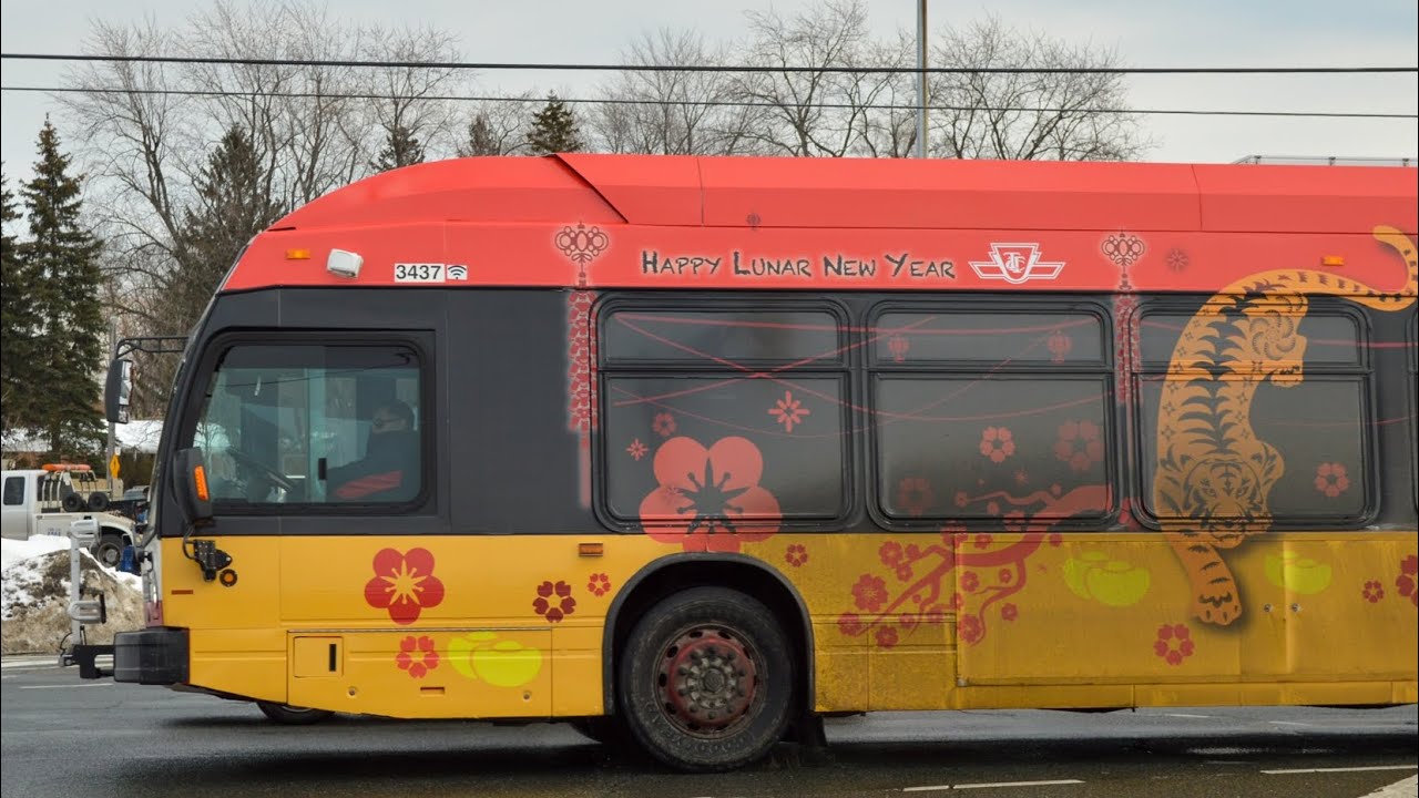 TTC Bus 166 • Lunar New Year & Black History Month Wraps