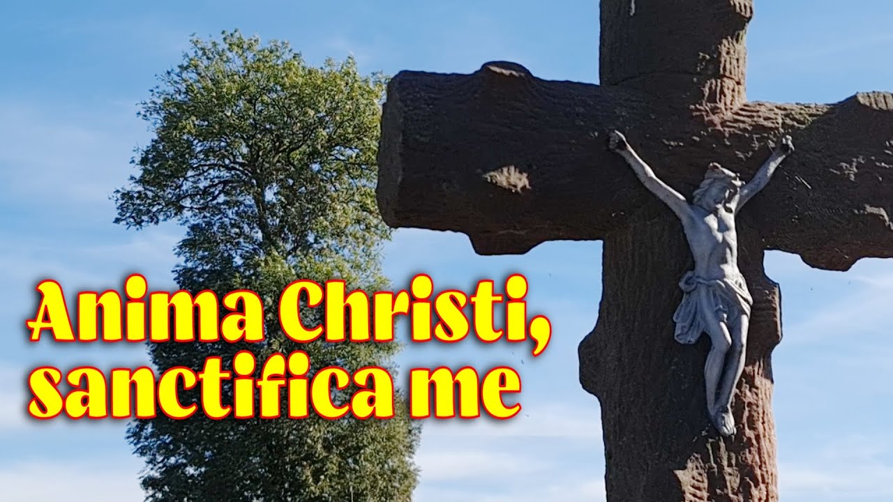 Anima Christi, sanctifica me. Corpus Christi, salva me.