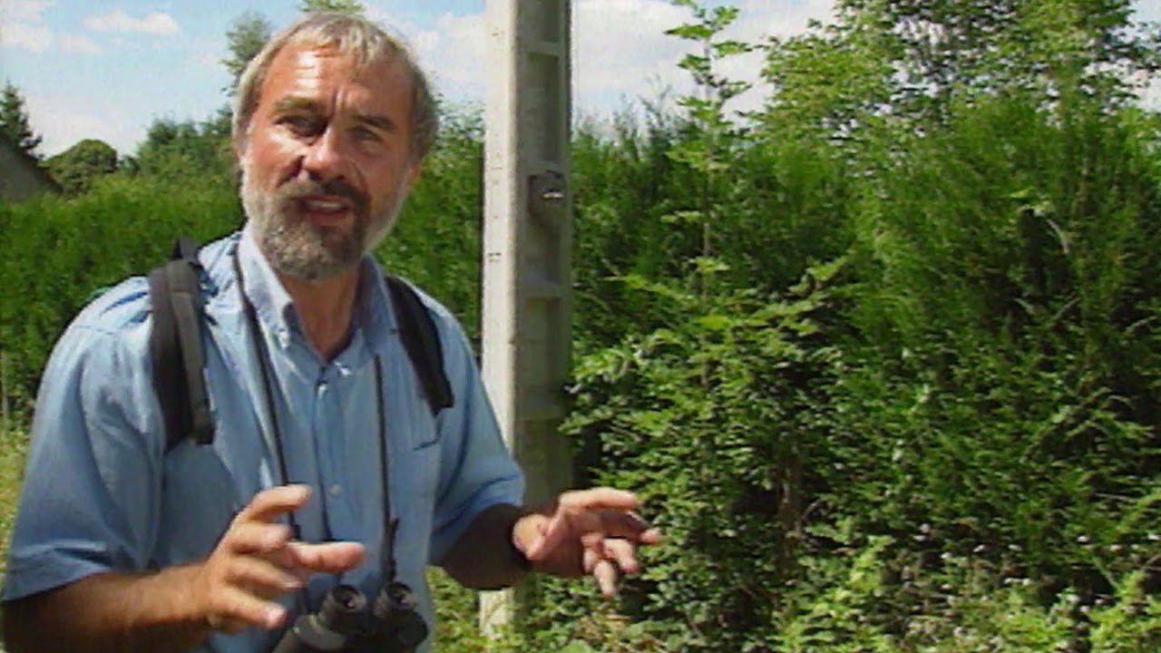 Voyage Naturaliste - Si Asnières sous-bois et sa forêt m'étaient contés