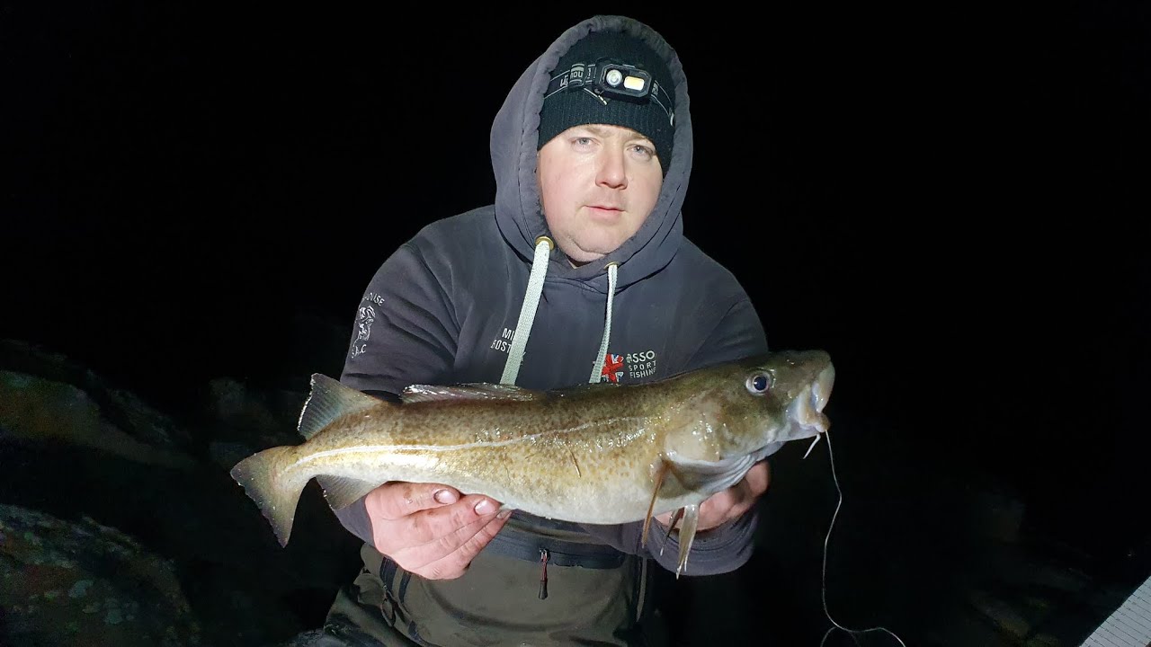 NORTH EAST COD FISHING 🎣 🎣🎣 Fishing in big seas #codfishing #cod #fishing #rockfishing