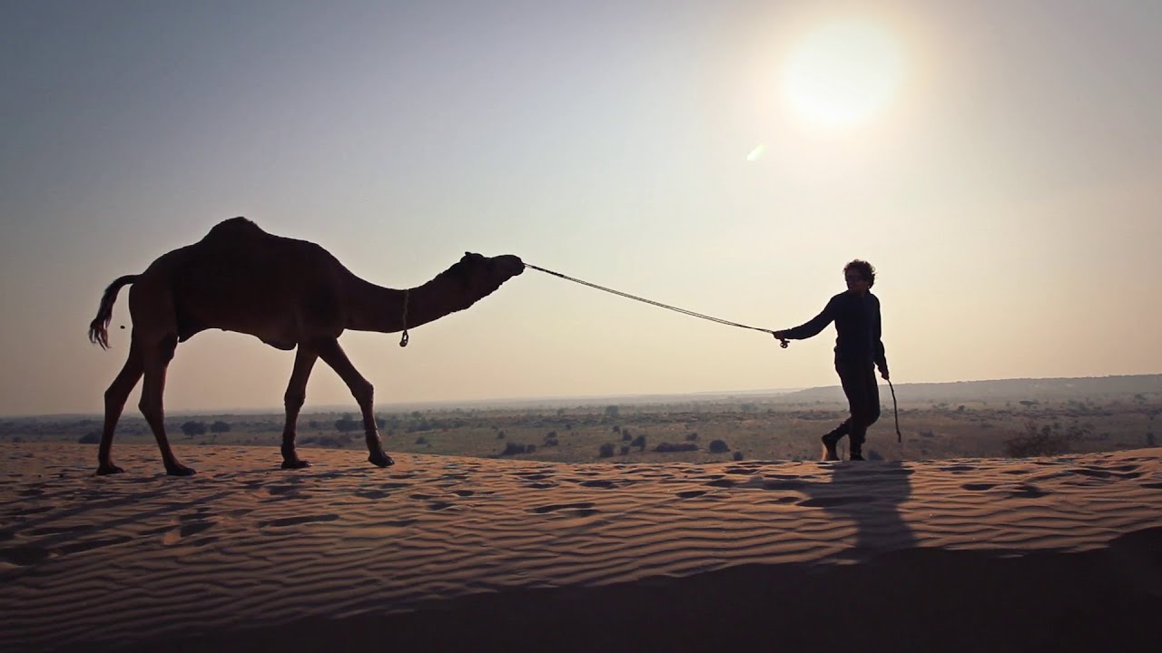 PROMENER SON CHAMEAU DANS LE DESERT
