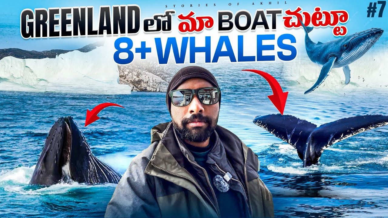 Mesmerizing Humpback Whale🐋 Safari in Ilulissat, Greenland 🇬🇱 | Stories of Akhil | తెలుగు లో