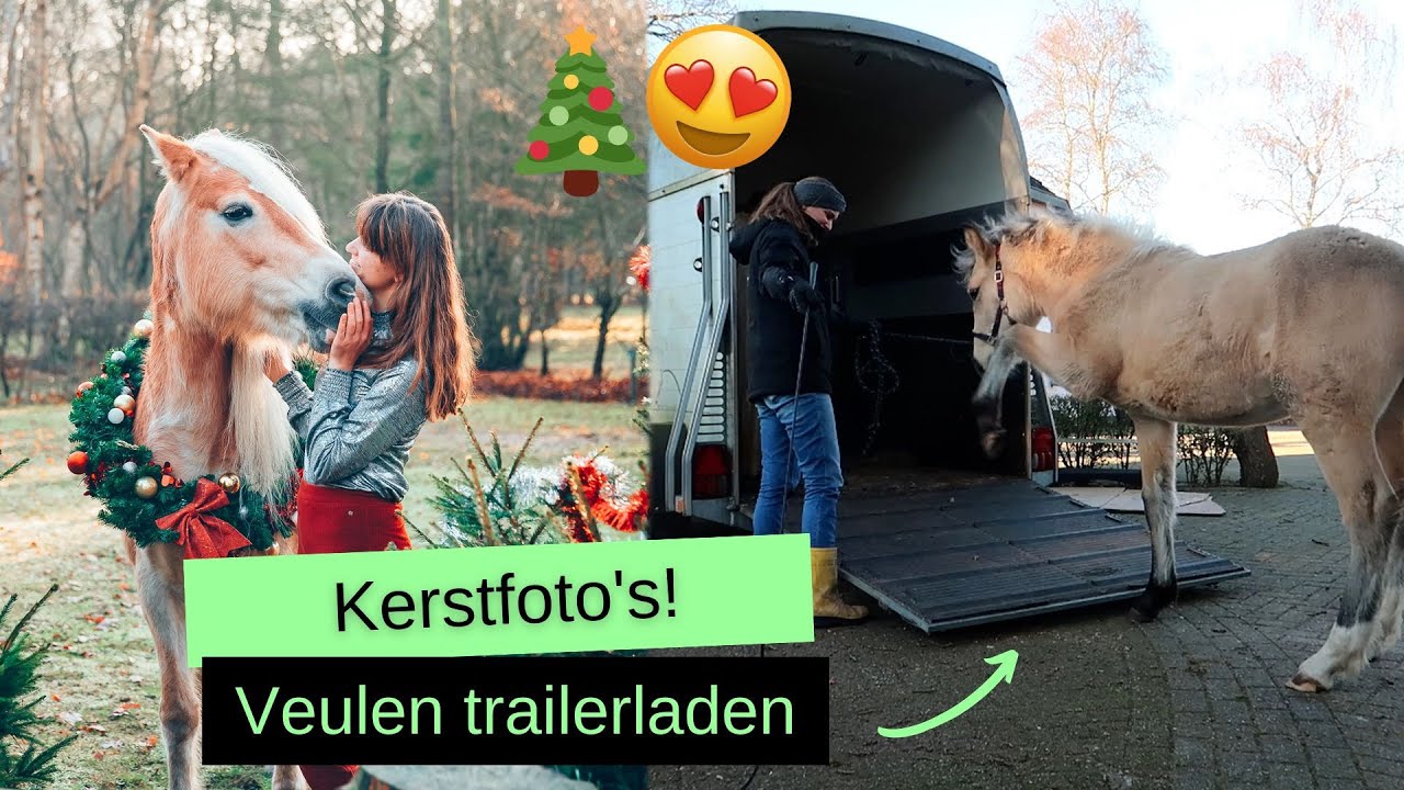 TRAILERLADEN met Kayenta & KERSTFOTO'S met de paarden! | VLOG #165