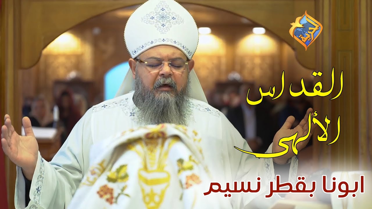 FR. Boktor Nessim | القداس الإلهي كامل لـ أبونا بقطر نسيم ✝️🤍 #قناة_الحرية