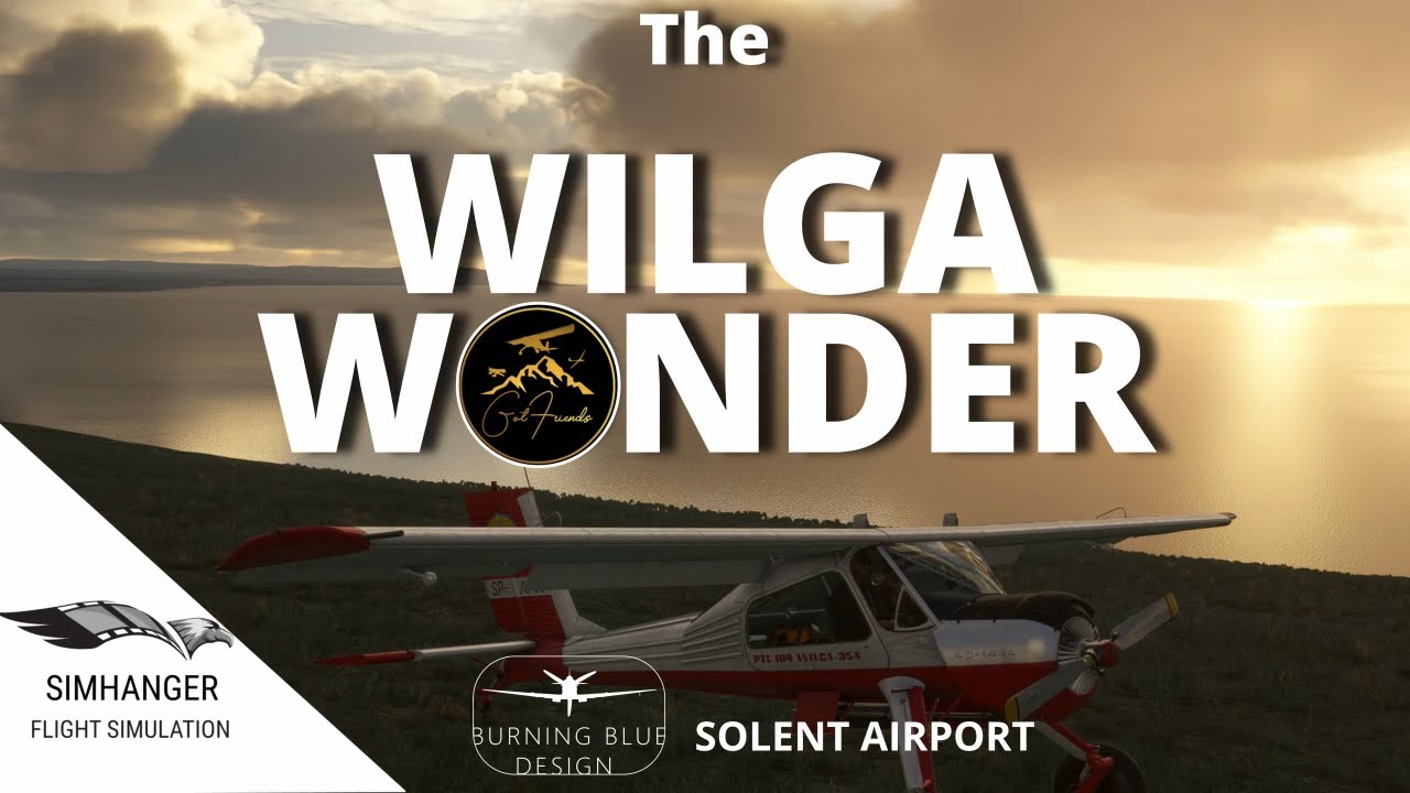 WILGA from Got Friends | PZL-104 35/80 | The Perfect Aircraft for Bush Pilots!