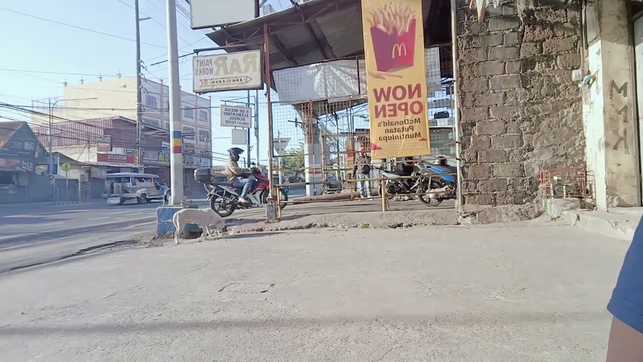 Pinakain asong kalyeng takot sa tao, bahag ang buntot.