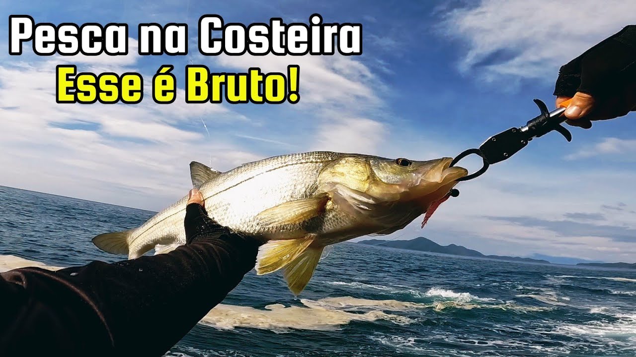 Pesca de Costeira - Ação e Mar Agitado !