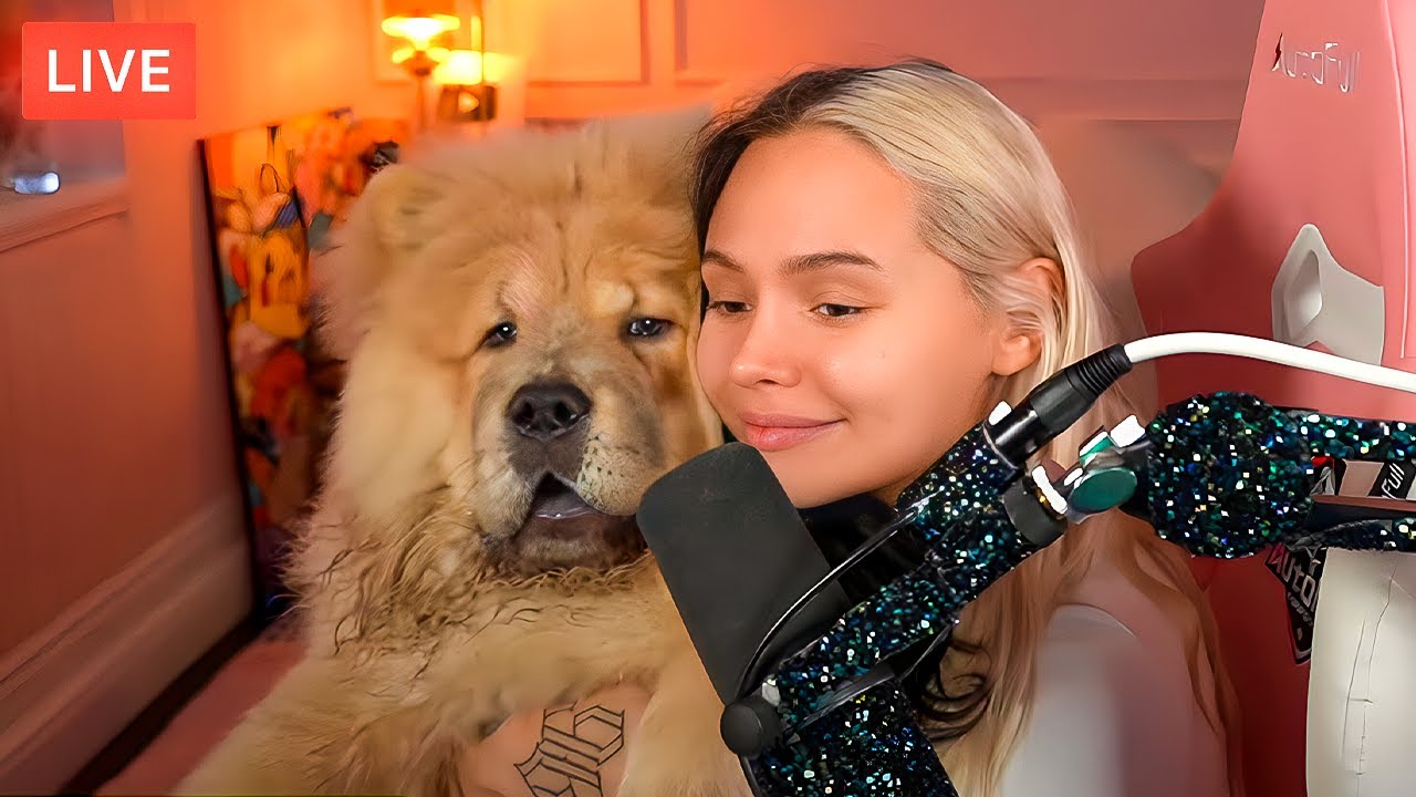 Mushu Being Cute In Talia Mar's Stream For 8 Minutes