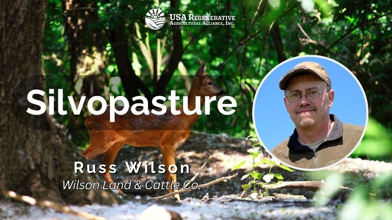 How Silvopasture Can Revolutionize Your Farm: Insights from Russ Wilson