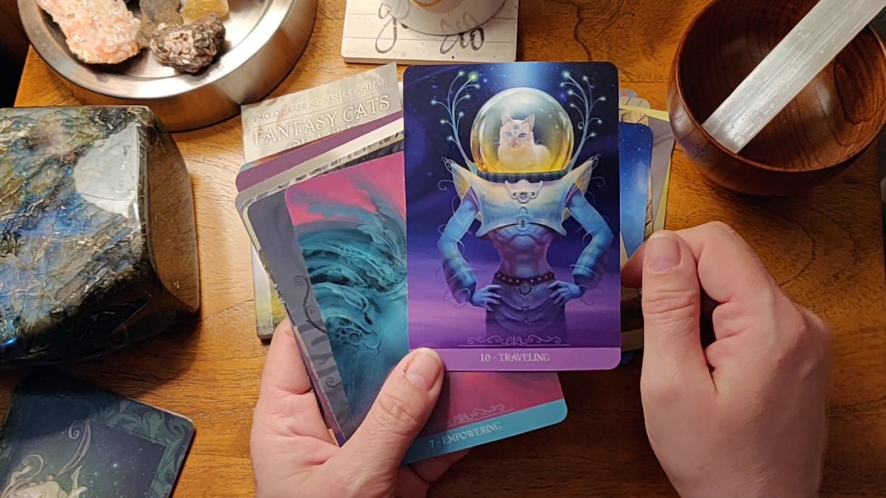 The Fantasy Cats Oracle Review and Walkthrough