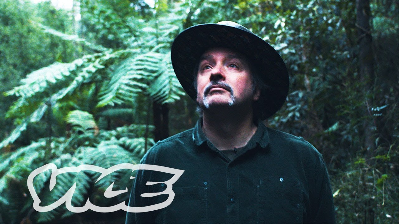 Foraging for Drugs in the Australian Bush