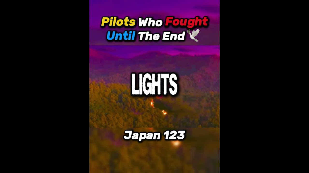 Pilots Who Fought Until The End.🥺🕊️ | 