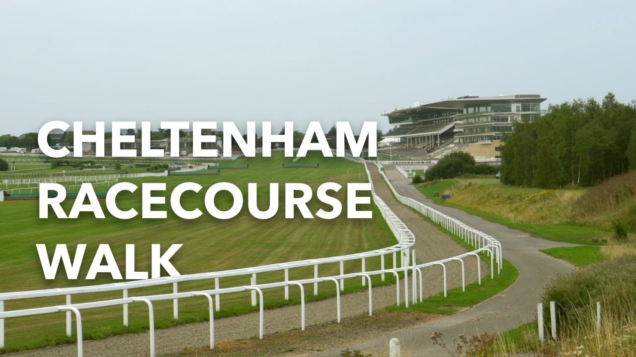 Best walk around Cheltenham Racecourse 🐎
