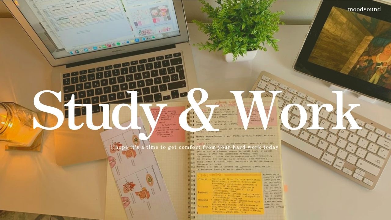【𝐏𝐥𝐚𝐲𝐥𝐢𝐬𝐭】✍🏻 새벽공부 3시간 집중 UP 가사없는 음악🙏공부할때듣는플레이리스트💛#집중음악 #공부플리 #lofimusic #focusmusic