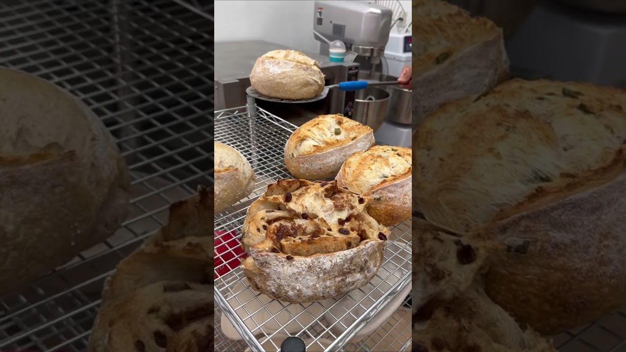 Baking Sourdough Bread | Pico Plus Oven
