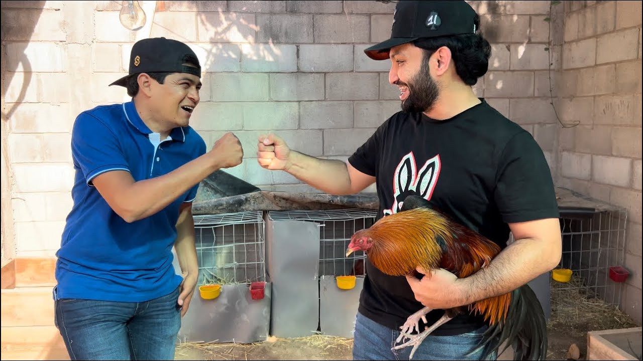 Así Fue El Primer Evento De Mis Gallos//Partido El Chettos(HumberttoLopezz)