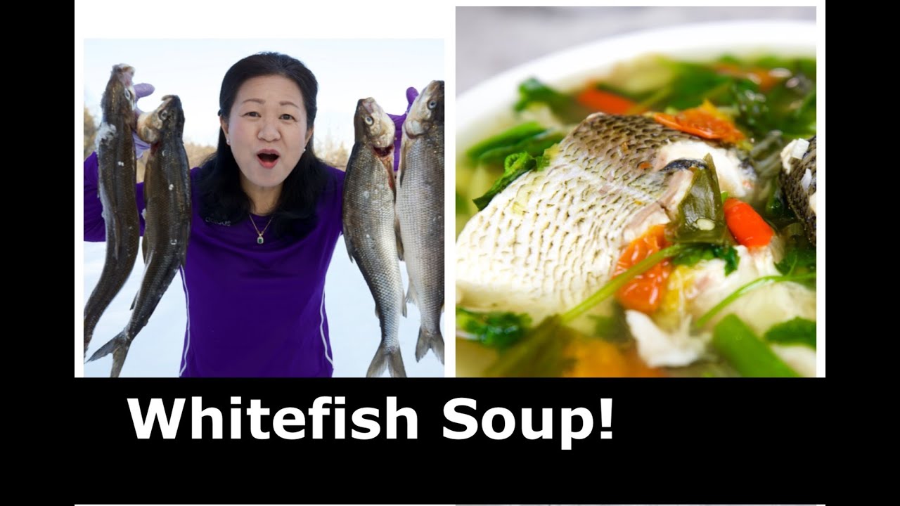 How to make simple Whitefish Soup! (Hmong Style)