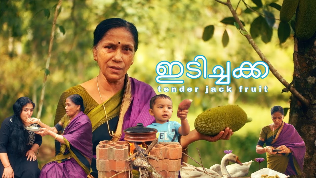 Cooking with Tender Jackfruit (Idichakka) | Flavorful & Healthy Vlog | Anusithara