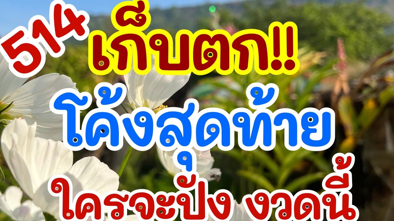 เก็บตก!! โค้งสุดท้าย ใครจะปัง งวดนี้ 16 เม.ย. 69 [EP.8]