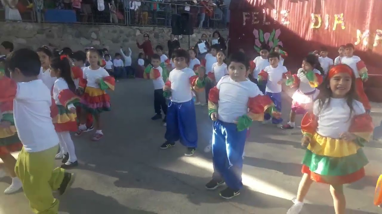 11 de febrero de 2026