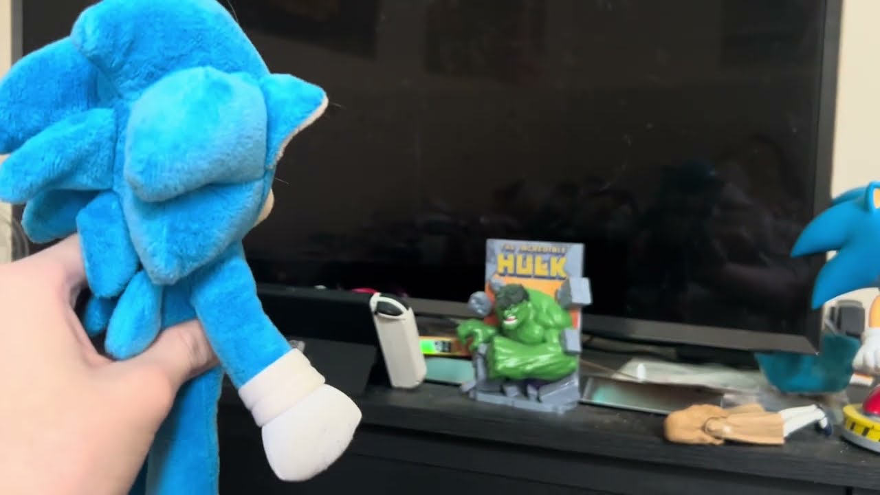 Sonic watches the dreamworks animation skg home entertainment logo.