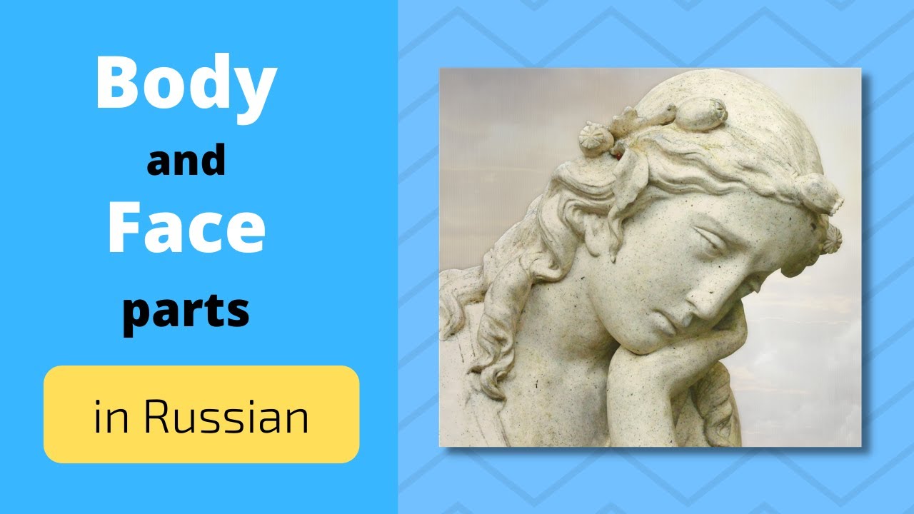 Body and Face parts in Russian: Visual Dictionary