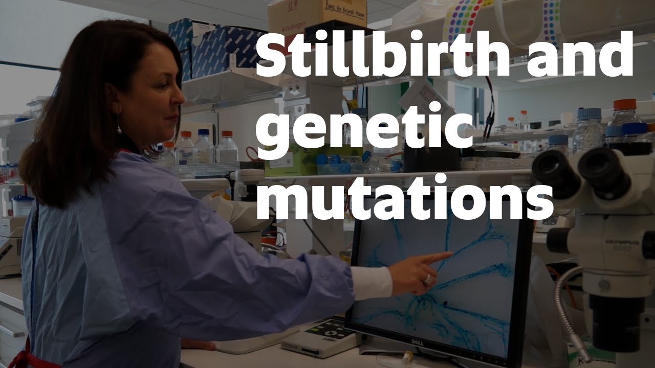 World first discovery links lymphatic disorder to stillbirth
