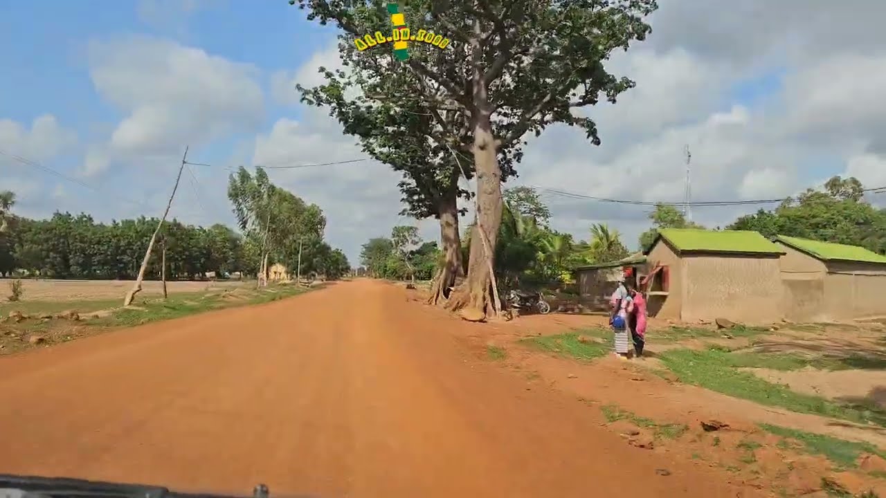 DRIVE FROM NAKI-OUEST BACK TO DAPAONG. ADMIRE A TYPICAL SAVANNAH LANDSCAPE, BAOBAB & FAN PALM TREES