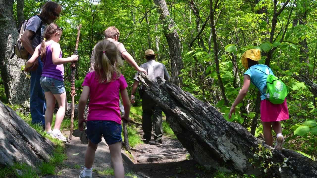 Basics of Hiking with Kids