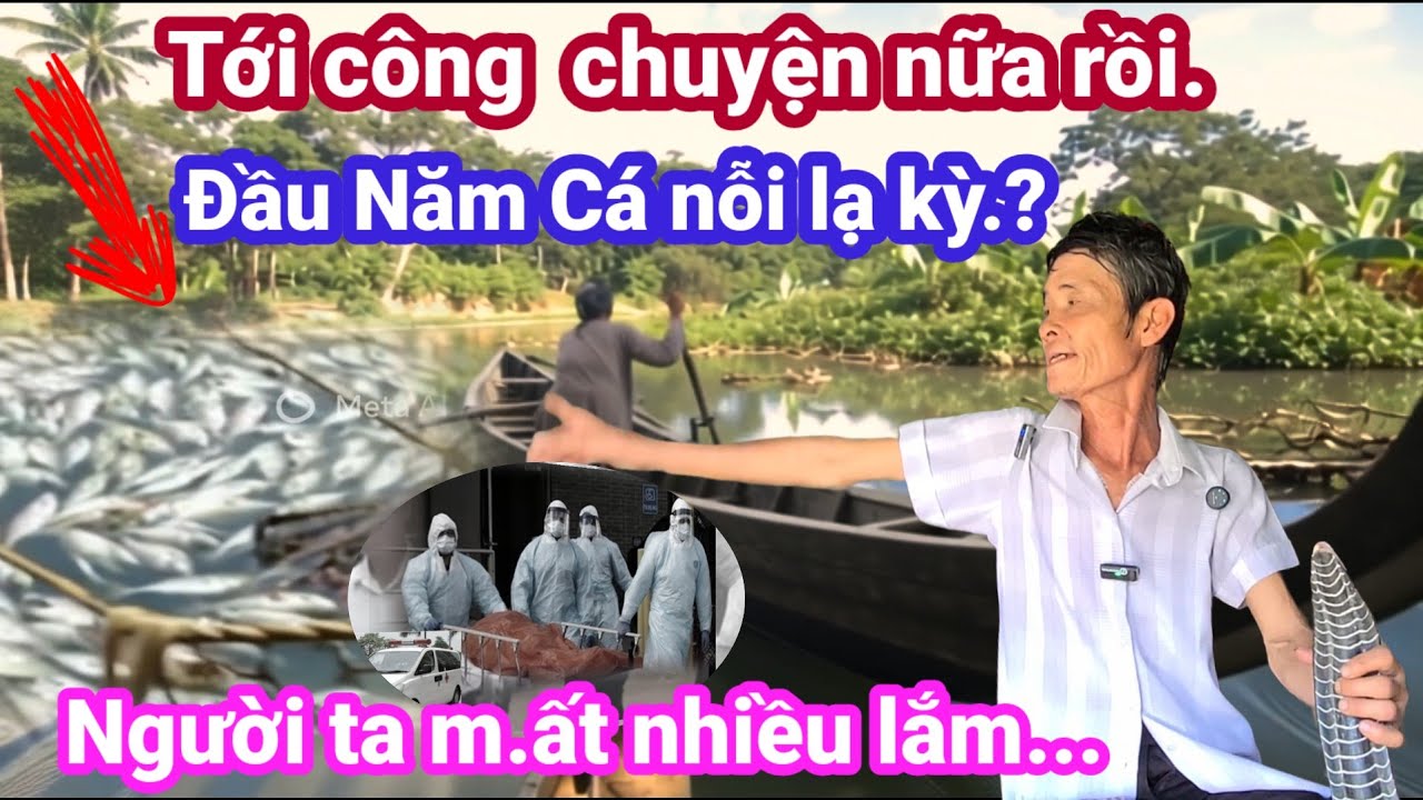 🙏Tới công chuyện nữa rồi.đầu Năm Cá nỗi kỳ lạ.?người ta mất nhiều lắm.🙏 Cho Đời Vlog. 