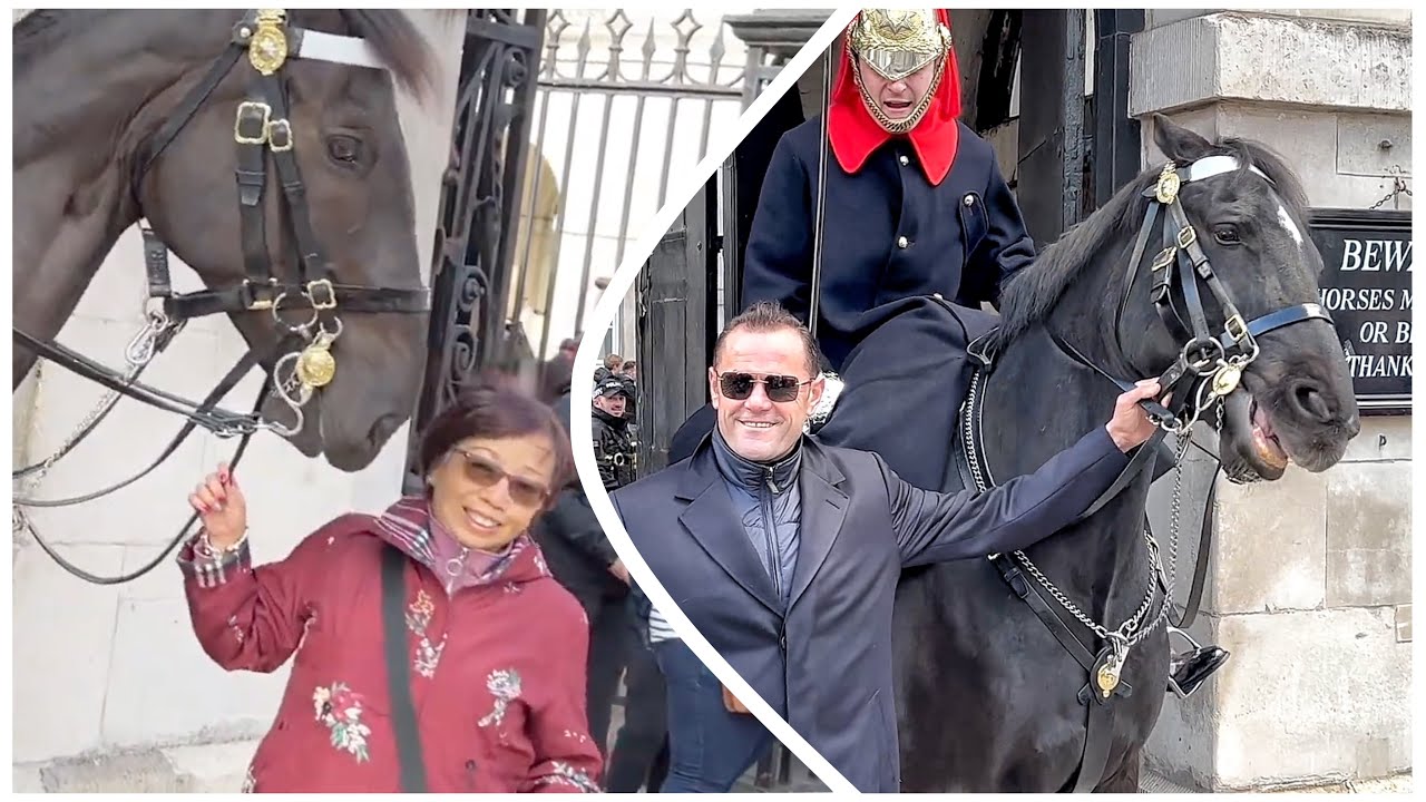 Top 10 Moments King's Guard “SCREAMS” at Rude Tourists!
