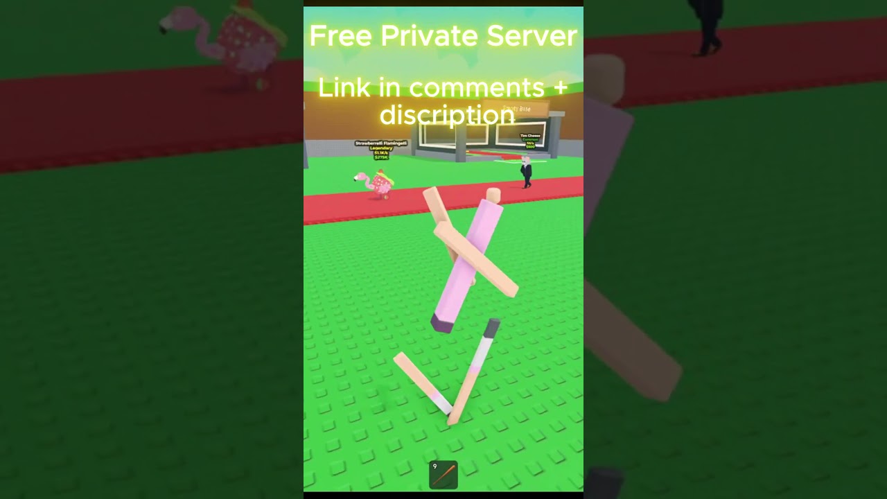 Free private server (Link in Comments + Description)